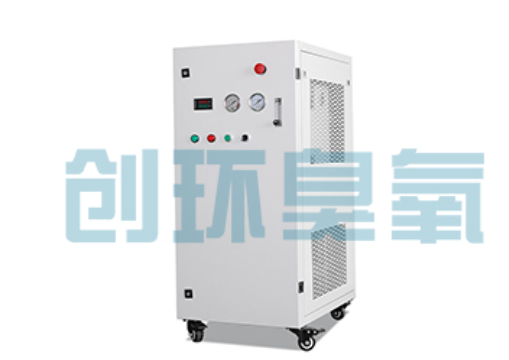 鹰手营子矿石斑鱼养殖水质调控完整指南:臭氧发生器配置与操作步骤