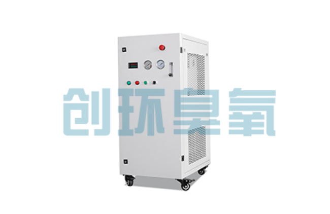 鹰手营子矿比传统换水更高效?臭氧发生器在石斑鱼养殖中的水质净化原理解析