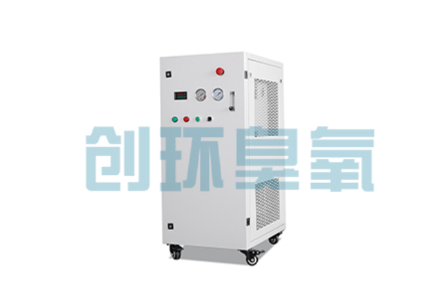 鹰手营子矿比传统换水更高效?臭氧发生器在石斑鱼养殖中的水质净化原理解析